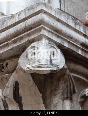 Gros plan d'un gargouille de poisson sur la colonne au marché du Rialto à Venise Banque D'Images