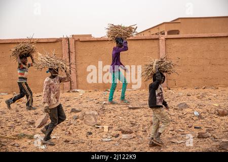 Enfants transportant du bois de chauffage, Oudan, Mauritanie Banque D'Images