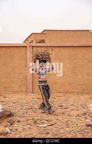 Enfants transportant du bois de chauffage, Oudan, Mauritanie Banque D'Images