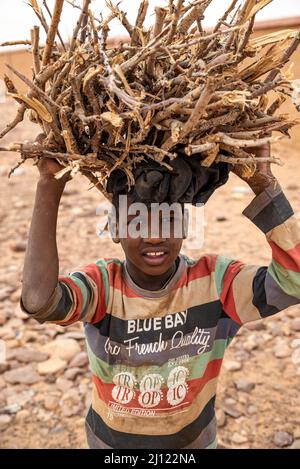 Enfants transportant du bois de chauffage, Oudan, Mauritanie Banque D'Images