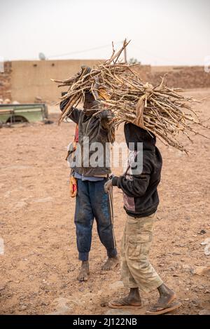 Enfants transportant du bois de chauffage, Oudan, Mauritanie Banque D'Images