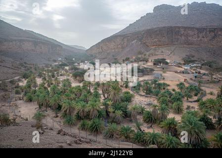 Vue au-dessus de l'Oasis Terjit, région d'Adrar, Mauritanie Banque D'Images