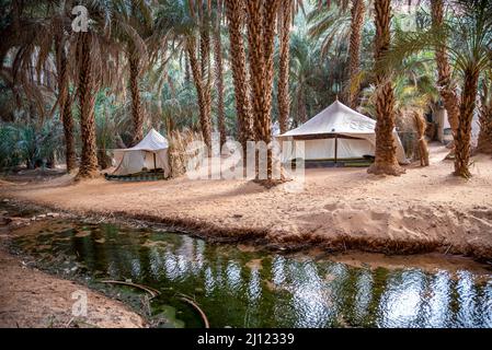 Camp de tented près d'un ruisseau à Terjit Oasis, région d'Adrar, Mauritanie Banque D'Images