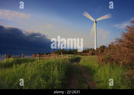 Un groupe d'éoliennes au parc éolien du Cap-Nord, à l'Île-du-Prince-Édouard. Banque D'Images