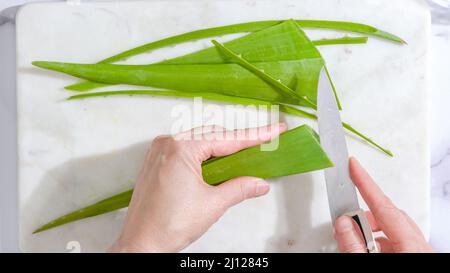 Recette maison de gommage du visage et du corps à l'aloès Vera. Les mains de femme épluchant l'usine de vera d'aloès Banque D'Images