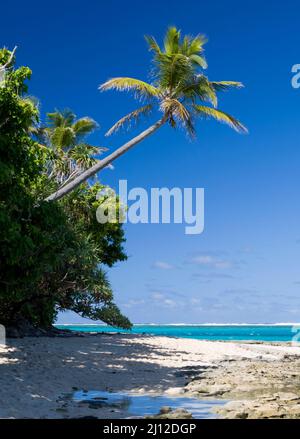 Tiny Mystery Island est une île parfaite, avec des sentiers sablonneux qui mènent à des plages blanches bordées de cocotiers et de lagons limpides, Banque D'Images