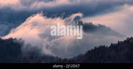 Vue de Belchen, Forêt-Noire, Allemagne Banque D'Images