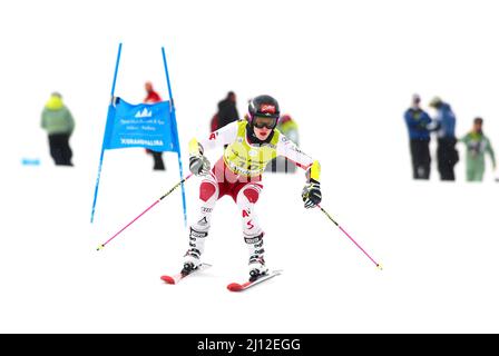 Soldeu, Andorre, Andorre. 19th mars 2022. Sophia Waldauf, skieuse alpine autrichienne, en compétition pour la finale de la coupe d'Europe WomenÃs Giant Slalom FIS. (Credit image: © Brisa Palomar/Pacific Press via ZUMA Press Wire) Banque D'Images