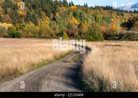 Paysage avec une magnifique route de campagne sinueuse parsemée de gravier fin passant par un pré et se nourrissant dans une colline surcultivée avec la forêt avec vous Banque D'Images