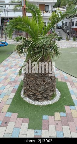 Parc du village avec carreaux colorés et palmier en croissance dans l'herbe artificielle dans le village andalou Banque D'Images