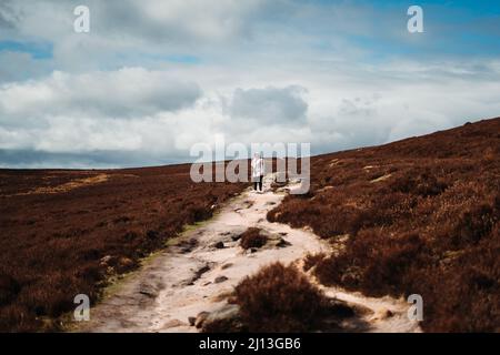 Personne se trouvant dans les champs vides du parc national Peak Dsitrict, Angleterre, Royaume-Uni Banque D'Images