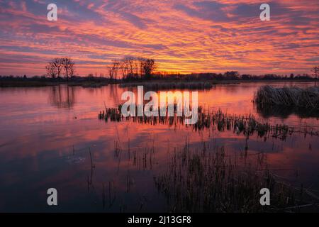 Ciel coloré et nuages après le coucher du soleil sur un lac gelé, vue en soirée d'hiver, Stankow, Pologne Banque D'Images