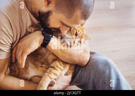 Un homme qui câline son chat au gingembre mignon, un animal qui a l'air heureux et endormi. Animal adorable. Tenir les mains. Banque D'Images