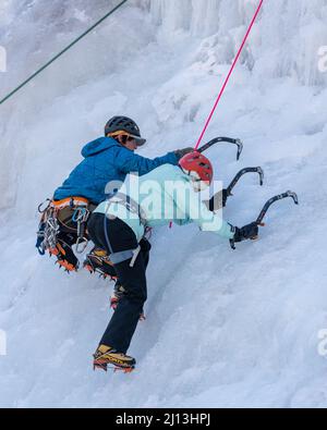 Une femme grimpeur apprenant à grimper sur la glace avec un guide sur un mur de glace en utilisant des haches de glace et des crampons au parc de glace d'Ouray, Colorado Banque D'Images