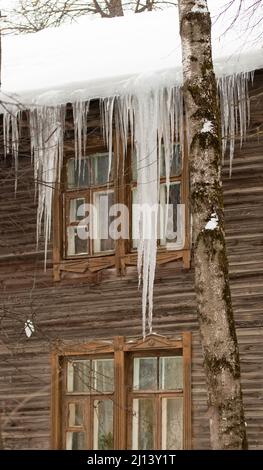 De fabuleuses glaces transparentes pendent sur le bord du toit. Sur le fond du mur en bois de la vieille maison. Grandes cascades, même de belles rangées. Jour d'hiver nuageux, lumière douce. Banque D'Images