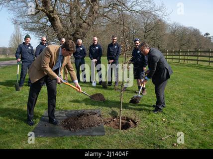 Windsor, Berkshire, Royaume-Uni. 22nd mars 2022. Des représentants de l'hippodrome d'Ascot, y compris le représentant et président de sa Majesté, Sir Francis Brooke Bt (au centre) et Guy Henderson (à droite), PDG d'Ascot, ont planté un chêne de cérémonie ce matin dans le Grand parc de Windsor pour commémorer le Jubilé de platine de sa Majesté la Reine et le ciel vert de la Reine. Le chêne a été planté à Duke's Ride au point de passage où la famille royale de transfert de voitures dans les calèches royales pour la procession royale à l'hippodrome d'Ascot pendant la Royal Ascot. Crédit : Maureen McLean/Alay Live News Banque D'Images