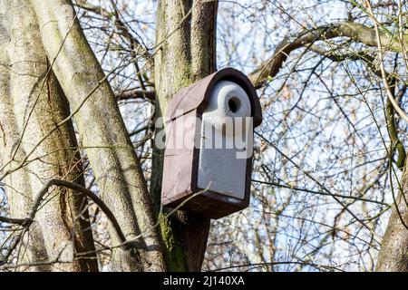 Une boîte de nidification d'oiseaux à Sunnyside Gardens, dans le nord de Londres, au Royaume-Uni Banque D'Images