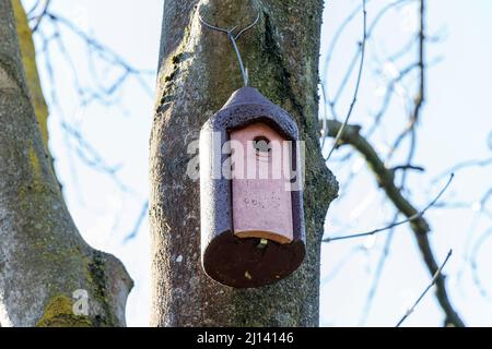 Une boîte de nidification d'oiseaux à Sunnyside Gardens, dans le nord de Londres, au Royaume-Uni Banque D'Images