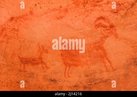 Le Hueco Pictograph Panel est situé dans une alcôve de Seven Mile Canyon, près de Moab, Utah. Les peintures ont été faites dans le style de Barrier Canyon vers 30 Banque D'Images