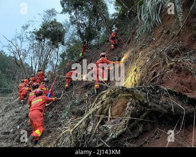 (220322) -- TENGXIAN, 22 mars 2022 (Xinhua) -- photo prise avec un téléphone portable montre les sauveteurs à la recherche des boîtes noires sur un site d'accident d'avion dans le comté de Tengxian, dans la région autonome de Guangxi Zhuang, dans le sud de la Chine, le 22 mars 2022. Les sauveteurs font tous les efforts pour récupérer les boîtes noires d'un avion de passagers qui s'est écrasé lundi après-midi dans la région autonome de Guangxi Zhuang, dans le sud de la Chine, a déclaré un responsable de l'Administration de l'aviation civile de Chine (CAAC) mardi soir. L'avion passager avec 132 personnes à bord s'est écrasé lundi après-midi, le département régional de gestion des urgences Banque D'Images