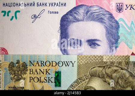 Pologne. 09th mars 2022. Dans cette illustration, on voit des billets polonais de 500 zlotys et 200 billets ukrainiens de hryvnias avec l'image de Lesya Ukrainka. (Photo par Karol Serewis/SOPA Images/Sipa USA) crédit: SIPA USA/Alay Live News Banque D'Images