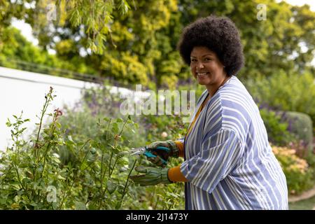 Portrait d'une femme mi-adulte afro-américaine souriante coupant des plantes tout en jardinant dans le jardin Banque D'Images