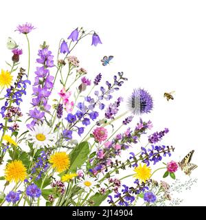 Différentes fleurs de jardin et de prairie, isolées Banque D'Images
