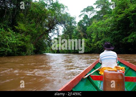 Promenade en bateau dans la jungle profonde de Bornéo Banque D'Images