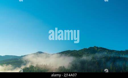 Allemagne, forêt noire magique nature paysage montagnes couvertes d'arbres verts et de brouillard dans une atmosphère mystique matin lever du soleil Banque D'Images