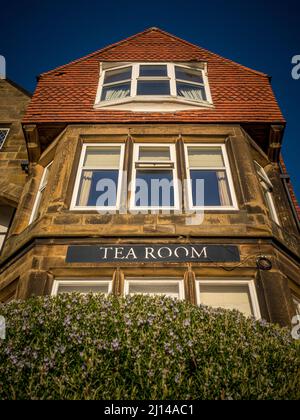 Façade extérieure du salon de thé. Hôtel Victoria, Robin Hoods Bay, North Yorkshire. Banque D'Images