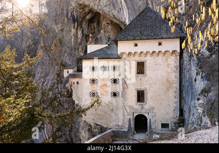 Vue de la fin de l'hiver sur le château de Predjama près de Postojna, en Slovénie, perché au milieu d'une grande falaise et relié à un système de grottes Banque D'Images