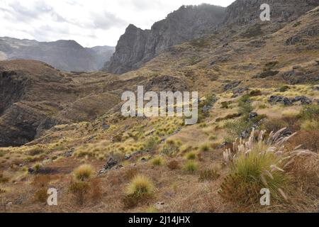 Paysage herbacé avec des montagnes volcaniques arides près d'Agaete dans le nord-ouest de la Grande Canarie îles Canaries Espagne. Banque D'Images