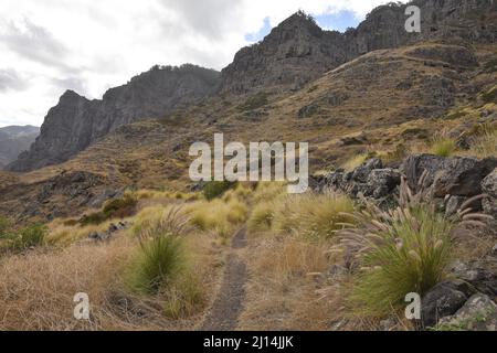 Chemin de randonnée à travers le paysage herbacé avec des montagnes volcaniques arides près d'Agaete dans le nord-ouest de la Grande Canarie îles Canaries Espagne. Banque D'Images