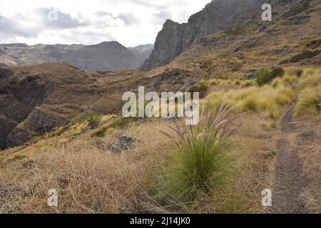 Chemin de randonnée à travers le paysage herbacé avec des montagnes volcaniques arides près d'Agaete dans le nord-ouest de la Grande Canarie îles Canaries Espagne. Banque D'Images