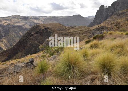 Paysage herbacé avec des montagnes volcaniques arides près d'Agaete dans le nord-ouest de la Grande Canarie îles Canaries Espagne. Banque D'Images