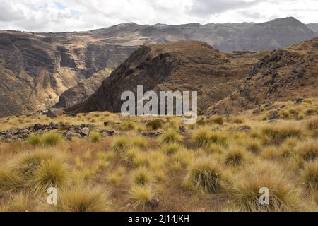 Paysage herbacé avec des montagnes volcaniques arides près d'Agaete dans le nord-ouest de la Grande Canarie îles Canaries Espagne. Banque D'Images