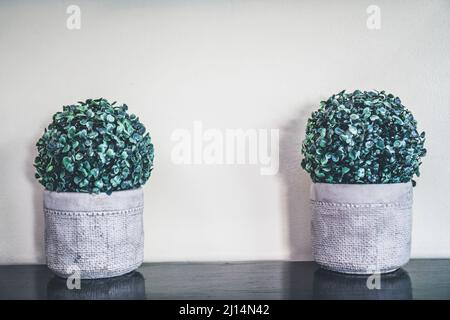 Deux faux plants verts dans les jardinières grises sur la tablette en bois contre le mur blanc. Décoration de plantes artificielles. Banque D'Images