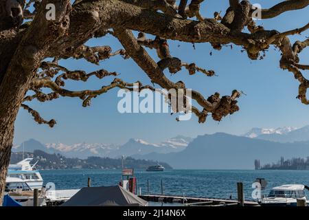 Lucerne, Suisse, 10 mars 2022 vue sur le lac de Lucerne avec les majestueuses alpes en arrière-plan Banque D'Images