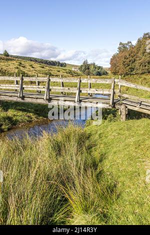 Une passerelle en bois au-dessus de Conglass Water à Blairnamarrow près de Tomintoul, Moray, Écosse Royaume-Uni. Banque D'Images