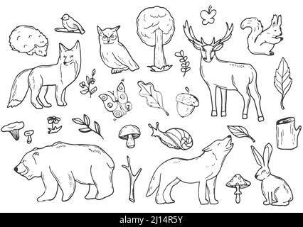 Woodland Animals Forest Doodle Icons Sketch. Vecteur de conception dessiné à la main. Isolé sur blanc Illustration de Vecteur