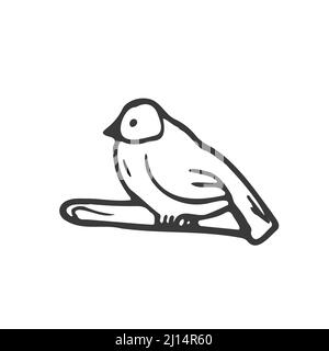 Un oiseau d'esquisse à dessin manuel vectoriel est isolé sur fond blanc. Vecteur isolé Illustration de Vecteur