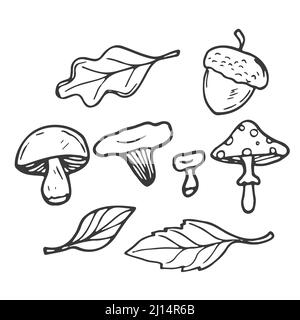 Ensemble de feuilles et champignons Doodle. Concept forêt et bois. Isolé Illustration de Vecteur