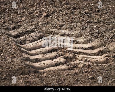 Des traces profondes de pneus de tracteur enfoncées dans un sol sec sur un champ agricole Banque D'Images