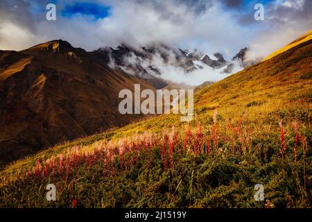 Belle vue sur le pied de Mt. Ushba avec neige. Scène matinale spectaculaire et pittoresque. Emplacement célèbre place Mestia, haute-Svaneti, Géorgie, Europe. H Banque D'Images