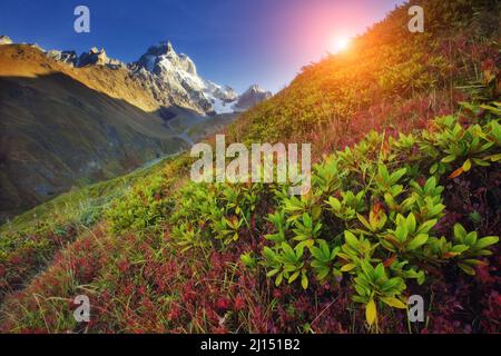 Superbes sommets enneigés du Mont Ushba dans la lumière du matin. Scène spectaculaire et pittoresque. Lieu place Svaneti, Mestia, Géorgie, Europe. Haut Caucase Banque D'Images