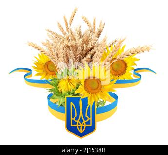 Composition avec emblème de l'État de l'Ukraine, tournesol et épillets de blé isolés sur blanc Banque D'Images