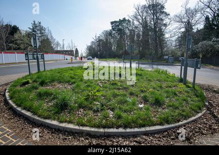 Ascot, Berkshire, Royaume-Uni. 22nd mars 2022. Un nouveau rond-point a été construit à l'entrée du nouvel hôpital de Heatherwood. L'hôpital actuel de Heatherwood, qui est en service depuis 1920s, devrait fermer prochainement. Les bâtiments de l'hôpital seront démolis et Taylor Wimpey a reçu l'autorisation de planifier la construction de 230 maisons résidentielles, y compris des appartements sur le site. Un nouvel hôpital ultramoderne a été construit sur des terres adjacentes et devrait ouvrir ses portes à la fin du mois. Crédit : Maureen McLean/Alay Banque D'Images