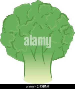 Motif plat de brocoli de couleur isolée Vector Illustration de Vecteur