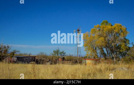 Brown Canyon Ranch près des montagnes Huachuca et de la Sierra Vista, Arizona Banque D'Images