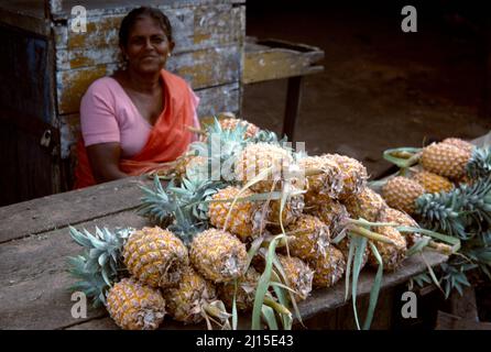 Colombo Sri Lanka femme vendant des ananas Banque D'Images